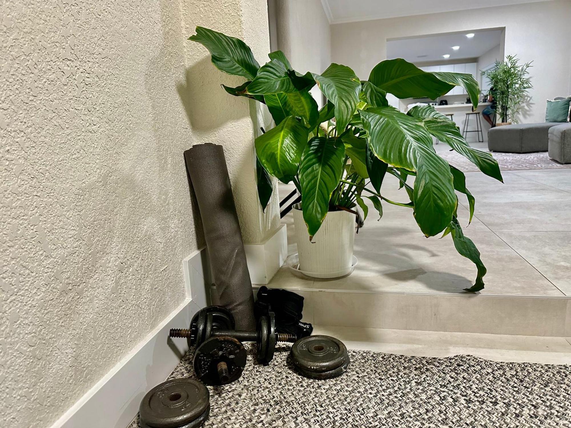 World Connect Miamiホステル エクステリア 写真